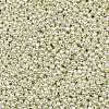 TOHO Round Seed Beads SEED-JPTR11-PF0558-2