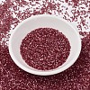 MIYUKI Delica Beads X-SEED-J020-DB1805-2