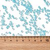 12/0 Transparent Glass Seed Beads SEED-F003-03C-10-4