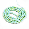 Baking Paint Glass Beads Strands DGLA-N003-6mm-C04-3