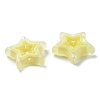 Acrylic Beads SACR-G033-02D-3