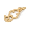 304 Stainless Steel Pendants STAS-L279-001G-06-2