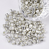 6/0 Two Cut Glass Seed Beads SEED-S033-03B-02-1