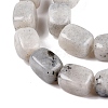 Natural Labradorite Beads Strands G-T138-85-3