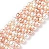 Shell Pearl Bead Strands BSHE-L017-11-1