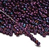 TOHO 6/0 Round Beads X-SEED-TR06-0704-2