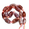 Dyed & Heated Natural Fire Crackle Agate Beads Strands GG-CBAB9C6-A01-02-5