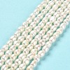 Natural Cultured Freshwater Pearl Beads Strands PEAR-E016-105-2
