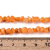 Natural Freshwater Shell Beads Strands SHEL-N037-04F-4