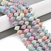 Natural Rainbow Alashan Agate Beads Strands G-NH0022-I01-01-2