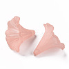 Transparent Acrylic Beads BSF796-C11-3
