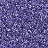 MIYUKI Delica Beads SEED-X0054-DB0250-3