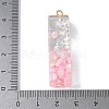 Resin Pendants RESI-B029-01P-I-3