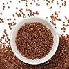 TOHO 8/0 Round Beads SEED-TR08-1825-2