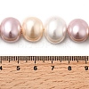 Shell Pearl Beads Strands BSHE-F013-01Q-4