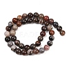 Natural Petrified Wood Round Bead Strands G-F266-08-8mm-6