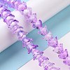 Transparent Glass Beads Strands LAMP-H061-01A-01-2