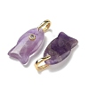 Natural Amethyst Pendants G-A297-01G-18-2