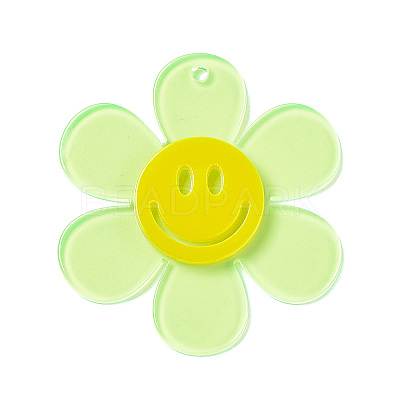 Transparent Acrylic Big Pendants OACR-P012-A04-1
