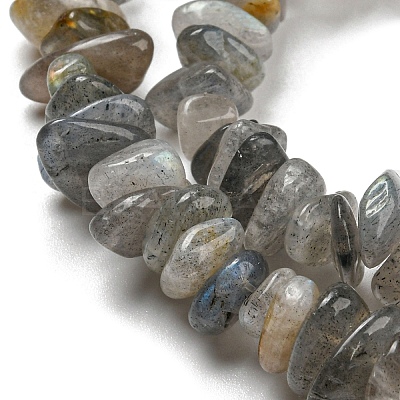 Natural Labradorite Chip Bead Strands G-M205-13-1