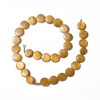 Spray Painted Natural Freshwater Shell Beads Strands SHEL-C003-05F-1
