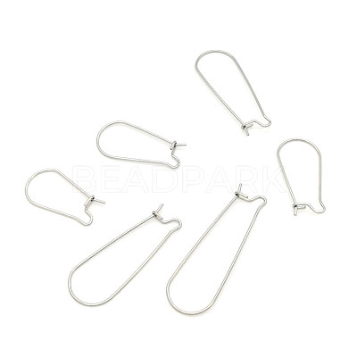 Stainless Steel Hoop Earring Findings STAS-WH0014-34A-P-1