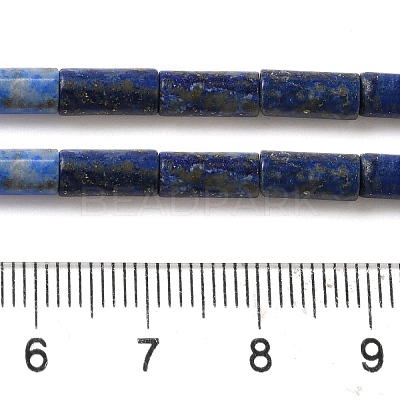 Natural Lapis Lazuli Beads Strands G-B091-A15-01-1