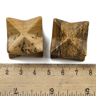Natural Picture Jasper Beads G-A206-01B-56-1