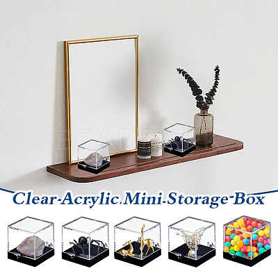 Acrylic Display Case Specimen Box CON-WH0095-122-1