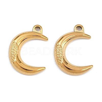 304 Stainless Steel Pendants STAS-L303-15G-1