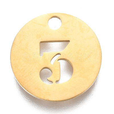 304 Stainless Steel Pendants LS-X-STAS-F233-03-G-1