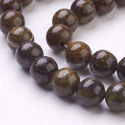 Natural Bronzite Beads Strands G-Q605-25-1