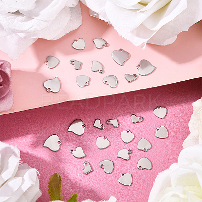 400Pcs 5 Style 304 Stainless Steel Charms STAS-DC0004-08-1