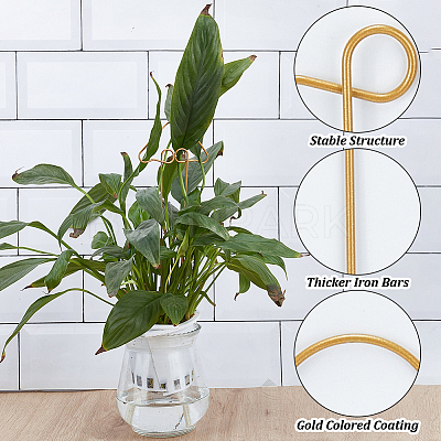 Iron Plant Trellis for Climbing Plants AJEW-DR0001-97-1