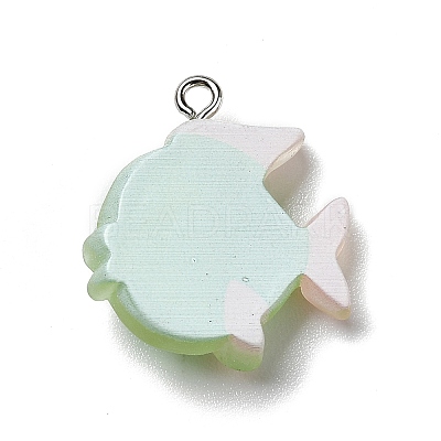 Opaque Resin Pendants X-RESI-D055-095P-1