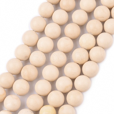 Natural Fossil Beads Strands X-G-E110-10mm-2-1
