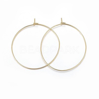 316 Surgical Stainless Steel Hoop Earrings STAS-P210-26G-01-1