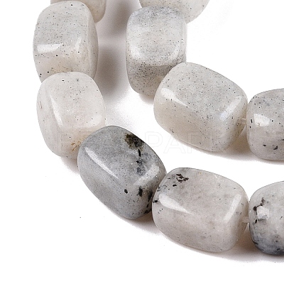 Natural Labradorite Beads Strands G-T138-85-1
