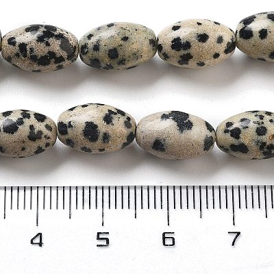 Natural Dalmatian Jasper Beads Strands G-B106-B20-01-1