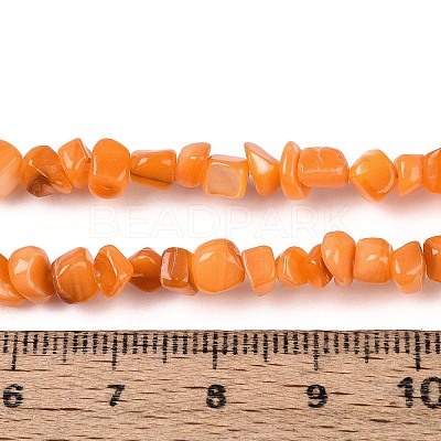 Natural Freshwater Shell Beads Strands SHEL-N037-04F-1