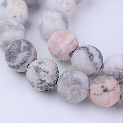 Natural Zebra Jasper Beads Strands G-Q462-10mm-03-1