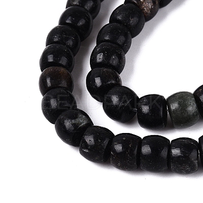 Natural Biotite Beads Strands G-Q616-02A-12-1