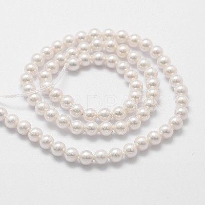 Shell Pearl Beads Strands X-BSHE-L025-01-6mm-1