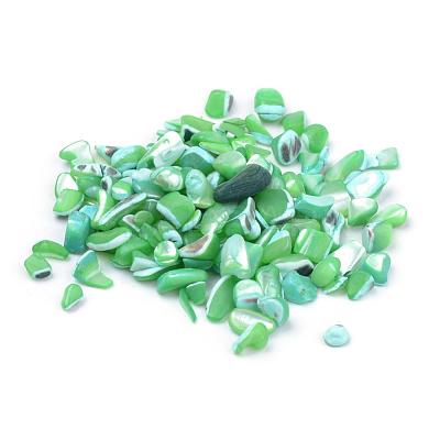 Natural Sea Shell Beads SSHEL-Q299-017D-1