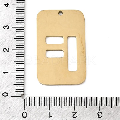 304 Stainless Steel Pendants STAS-D200-01F-G-1