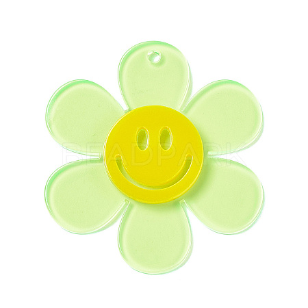 Transparent Acrylic Big Pendants OACR-P012-A04-1