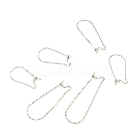 Stainless Steel Hoop Earring Findings STAS-WH0014-34A-P-1