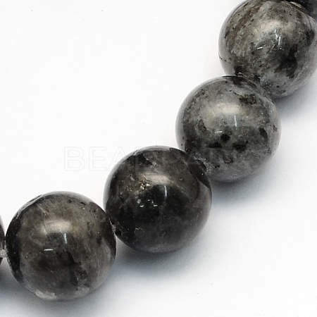 Natural Larvikite Round Beads Strands G-S159-10mm-1