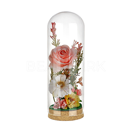 Glass Bell Jars AJEW-BC0010-64B-1