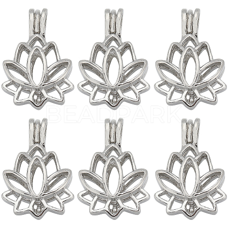 SUNNYCLUE 10Pcs Alloy Diffuser Locket Pendants FIND-SC0008-35-1